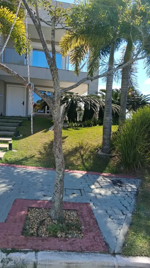 Casa moderna branca com palmeiras e jardim bem cuidado